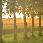 Romantic Luxus Glamping 1